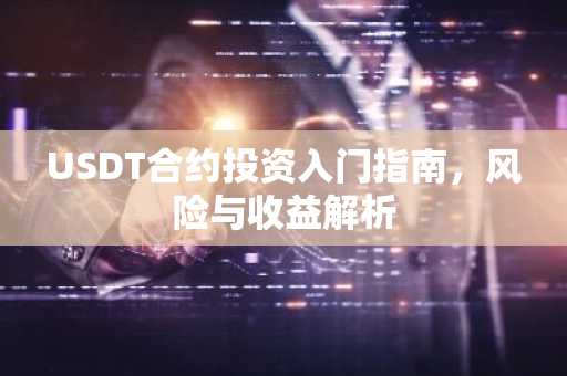 USDT合约投资入门指南，风险与收益解析
