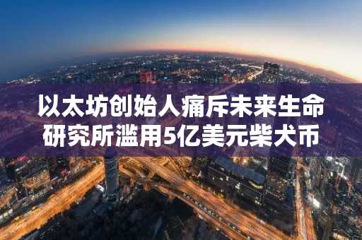 以太坊创始人痛斥未来生命研究所滥用5亿美元柴犬币捐赠