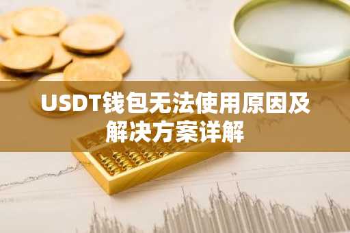 USDT钱包无法使用原因及解决方案详解