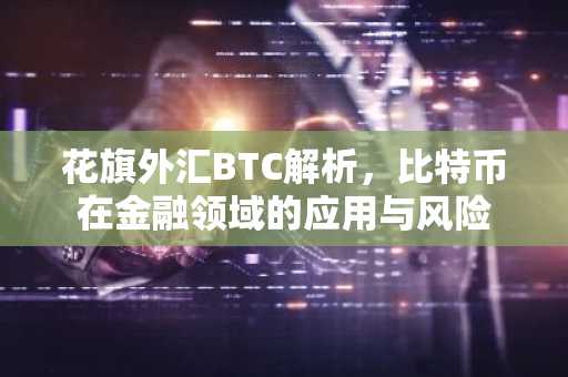 花旗外汇BTC解析，比特币在金融领域的应用与风险