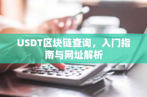USDT区块链查询，入门指南与网址解析