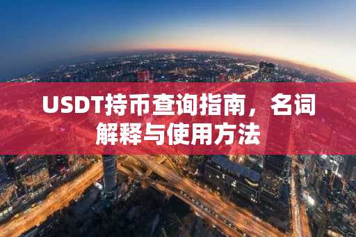 USDT持币查询指南，名词解释与使用方法