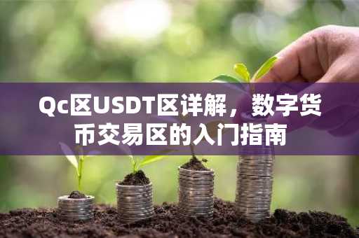 Qc区USDT区详解，数字货币交易区的入门指南