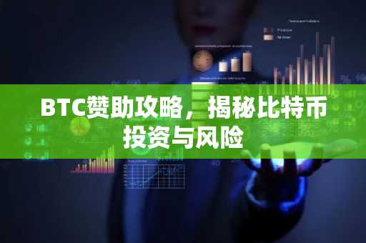 BTC赞助攻略，揭秘比特币投资与风险
