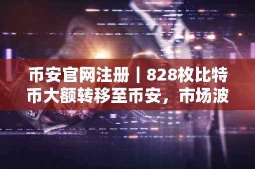 币安官网注册｜828枚比特币大额转移至币安，市场波动信号引关注