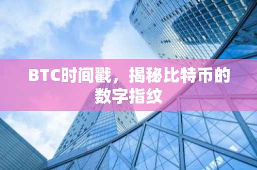 BTC时间戳，揭秘比特币的数字指纹