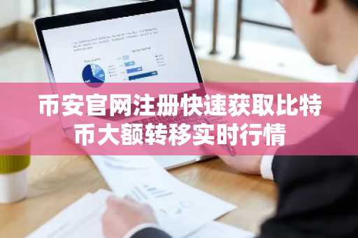 币安官网注册快速获取比特币大额转移实时行情