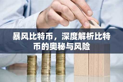 暴风比特币，深度解析比特币的奥秘与风险
