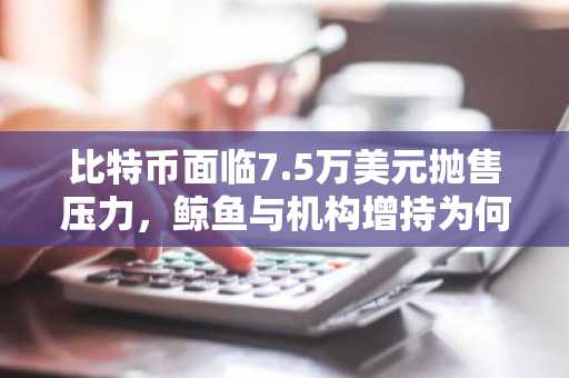 比特币面临7.5万美元抛售压力，鲸鱼与机构增持为何难破阻力