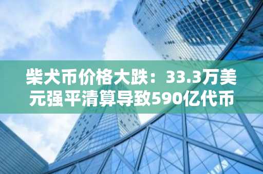 柴犬币价格大跌：33.3万美元强平清算导致590亿代币蒸发