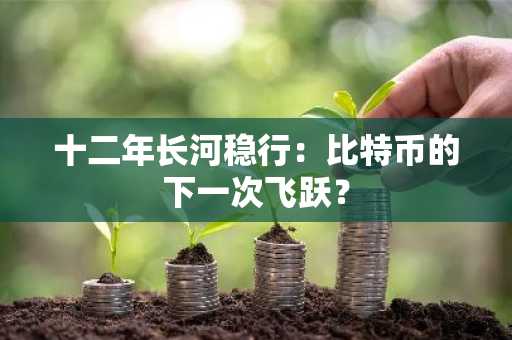 十二年长河稳行:比特币的下一次飞跃?