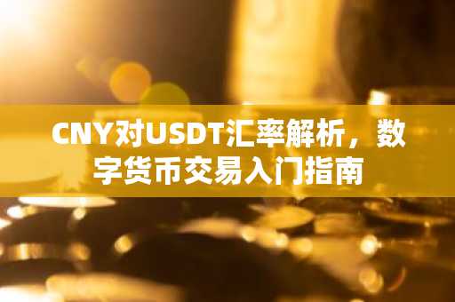 CNY对USDT汇率解析，数字货币交易入门指南