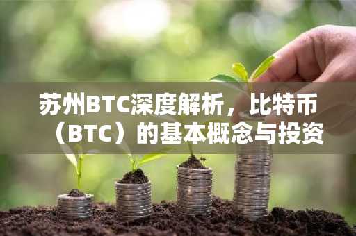 苏州BTC深度解析，比特币（BTC）的基本概念与投资风险
