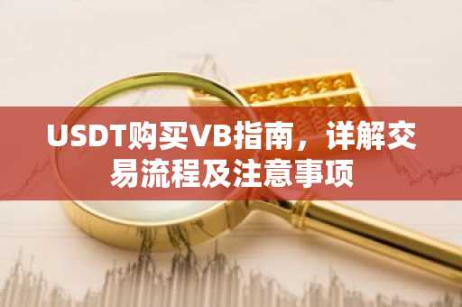USDT购买VB指南，详解交易流程及注意事项