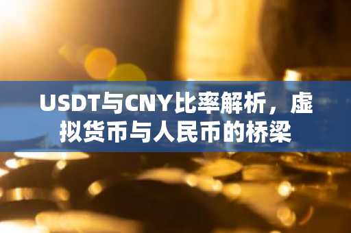 USDT与CNY比率解析，虚拟货币与人民币的桥梁