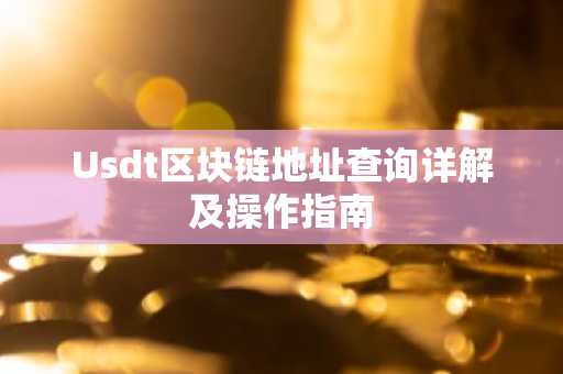 Usdt区块链地址查询详解及操作指南