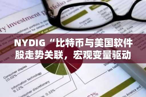 NYDIG“比特币与美国软件股走势关联，宏观变量驱动而非结构性结合”