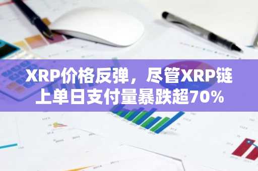 XRP价格反弹，尽管XRP链上单日支付量暴跌超70%