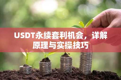 USDT永续套利机会，详解原理与实操技巧