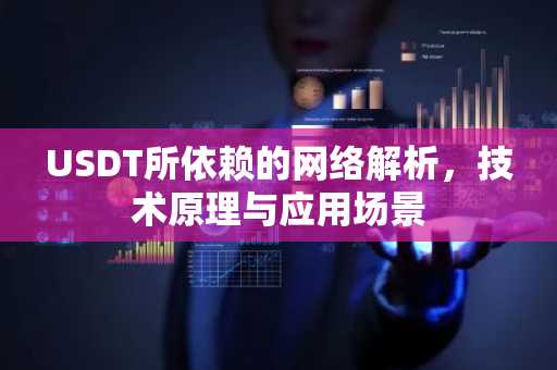 USDT所依赖的网络解析，技术原理与应用场景