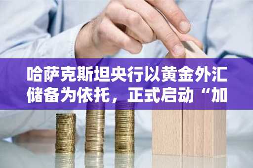 哈萨克斯坦央行以黄金外汇储备为依托，正式启动“加密货币间接投资”…同步推进交易所牌照发放