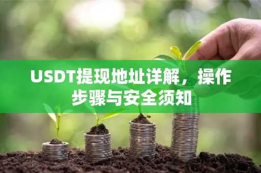 USDT提现地址详解，操作步骤与安全须知