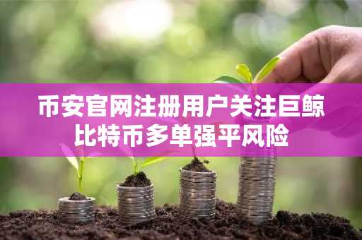 币安官网注册用户关注巨鲸比特币多单强平风险