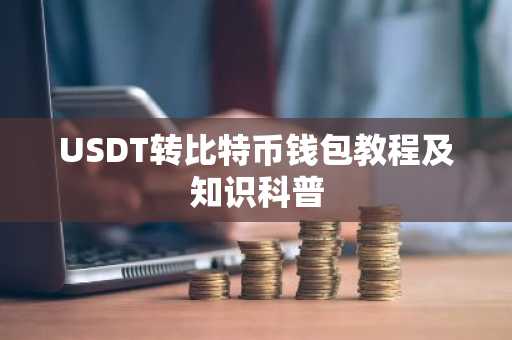 USDT转比特币钱包教程及知识科普