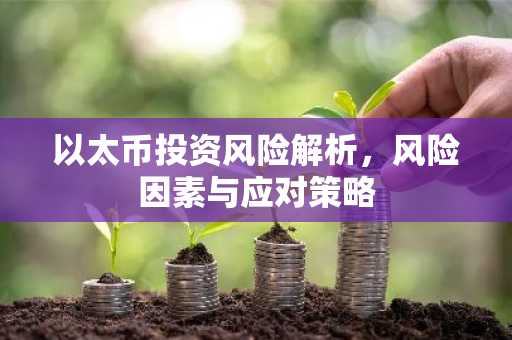 以太币投资风险解析，风险因素与应对策略