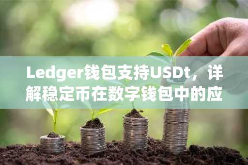 Ledger钱包支持USDt，详解稳定币在数字钱包中的应用