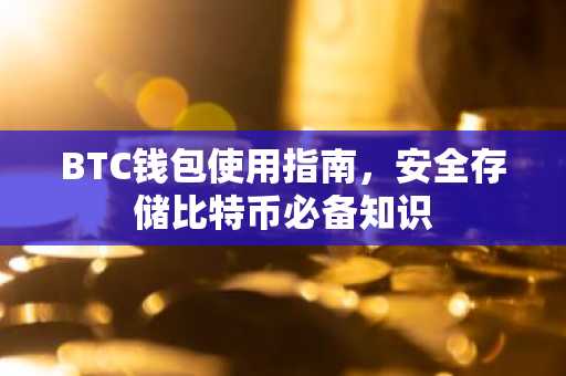 BTC钱包使用指南，安全存储比特币必备知识