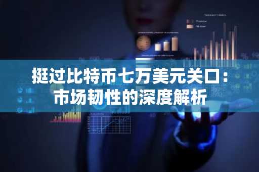 挺过比特币七万美元关口：市场韧性的深度解析