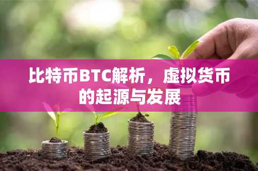 比特币BTC解析，虚拟货币的起源与发展