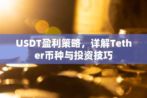 USDT盈利策略，详解Tether币种与投资技巧