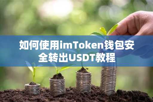如何使用imToken钱包安全转出USDT教程