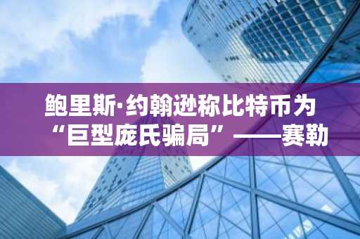 鲍里斯·约翰逊称比特币为“巨型庞氏骗局”——赛勒、阿多伊诺等人予以反驳
