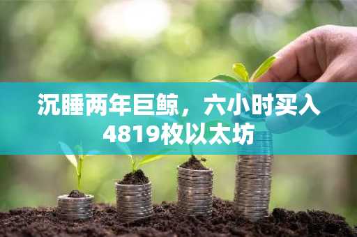 沉睡两年巨鲸，六小时买入4819枚以太坊