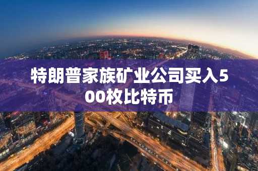 特朗普家族矿业公司买入500枚比特币