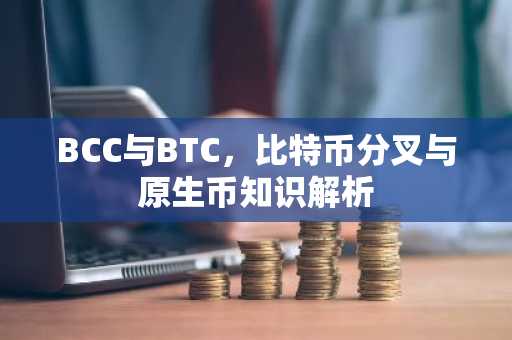 BCC与BTC，比特币分叉与原生币知识解析