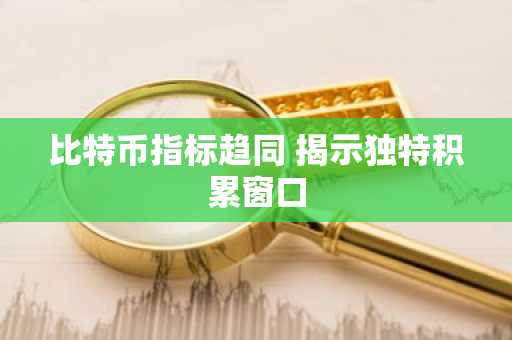比特币指标趋同 揭示独特积累窗口